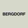 Bergdorfverse Patreon picture
