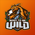 Born To Be Wild Podcast Patreon Picture