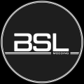 Bsl Modding Patreon picture