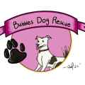 Bubbles Dog Rescue Patreon picture