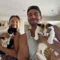 Cats Of Cyprus By Miguel & Alina Patreon picture