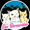 Cats Of San Bernardino  Patreon Picture