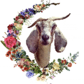Cloven Heart Farm Sanctuary Patreon picture