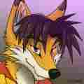 Footpaws Patreon picture