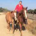 Love This Horse Equine Rescue Patreon picture