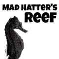 Mad Hatter's Reef Patreon picture