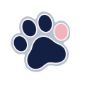 Pink Bean Studio Patreon picture