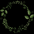 Queer Doula Network Patreon picture