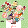 Popwink Patreon picture