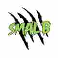 SMAL B Patreon picture