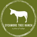 Sycamore Tree Ranch Patreon picture