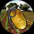 The Potato Fields Patreon picture