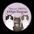 Tiny But Mighty Kitten Rescue Patreon picture