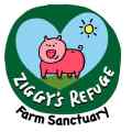 Ziggys Refuge Farm Sanctuary  Patreon picture